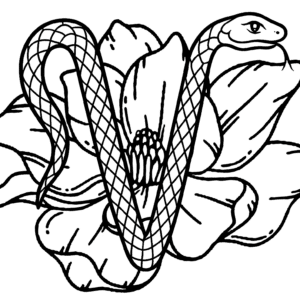 black and white outline of enamel pin design